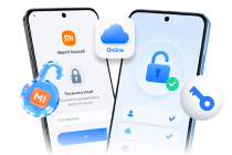Remove Xiaomi Lock